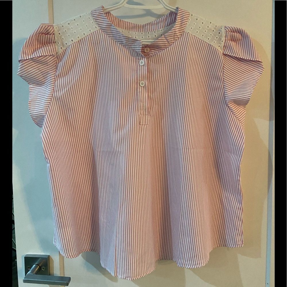Pink stripped blouse